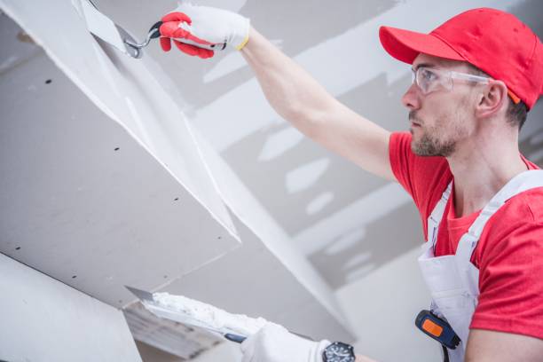 Best Ceiling Painting Services  in USA